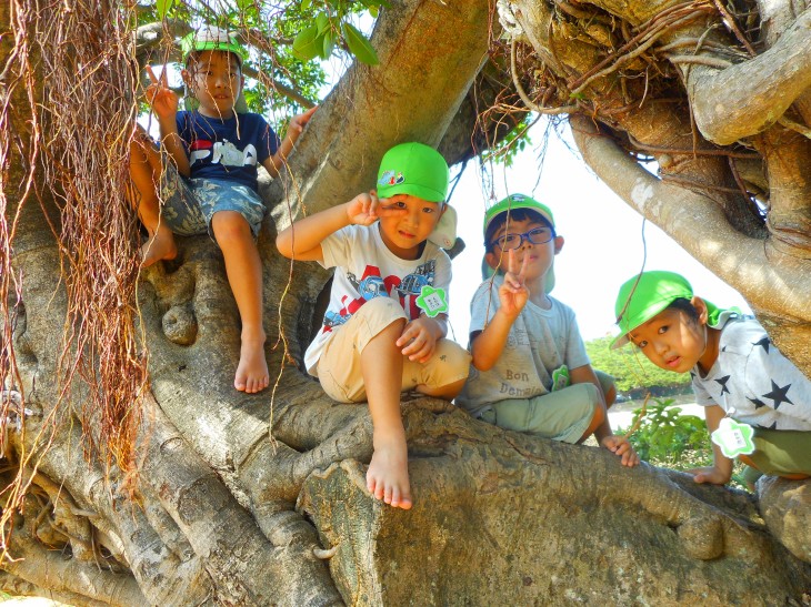 木登り｜宜野湾市立普天間小学校